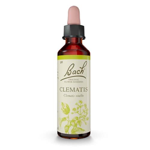 Clematis Bach flower remedy