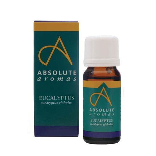Absolute Aromas Eucalyptus 10ml