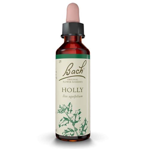 Holly Bach Flower Remedy