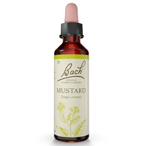 Mustard Bach Flower Remedy