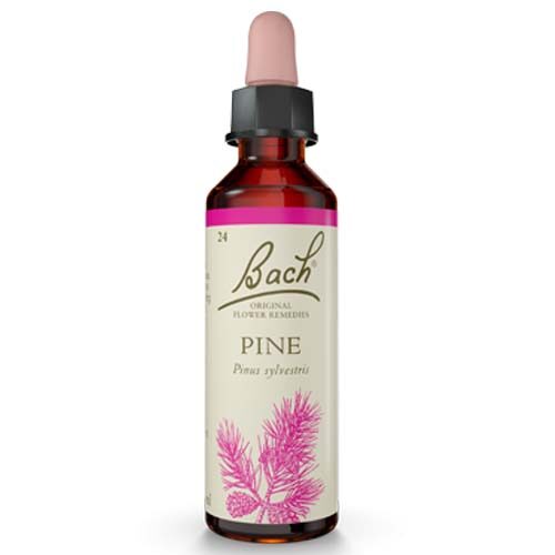 Pine Bach Flower Remedy