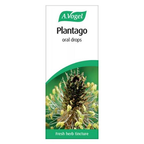 A Vogel Plantago 50ml