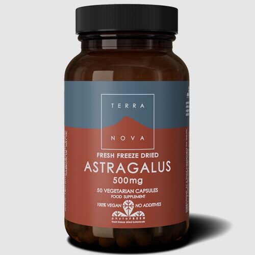 Terra Nova Astragalus 500mg 100 capsules