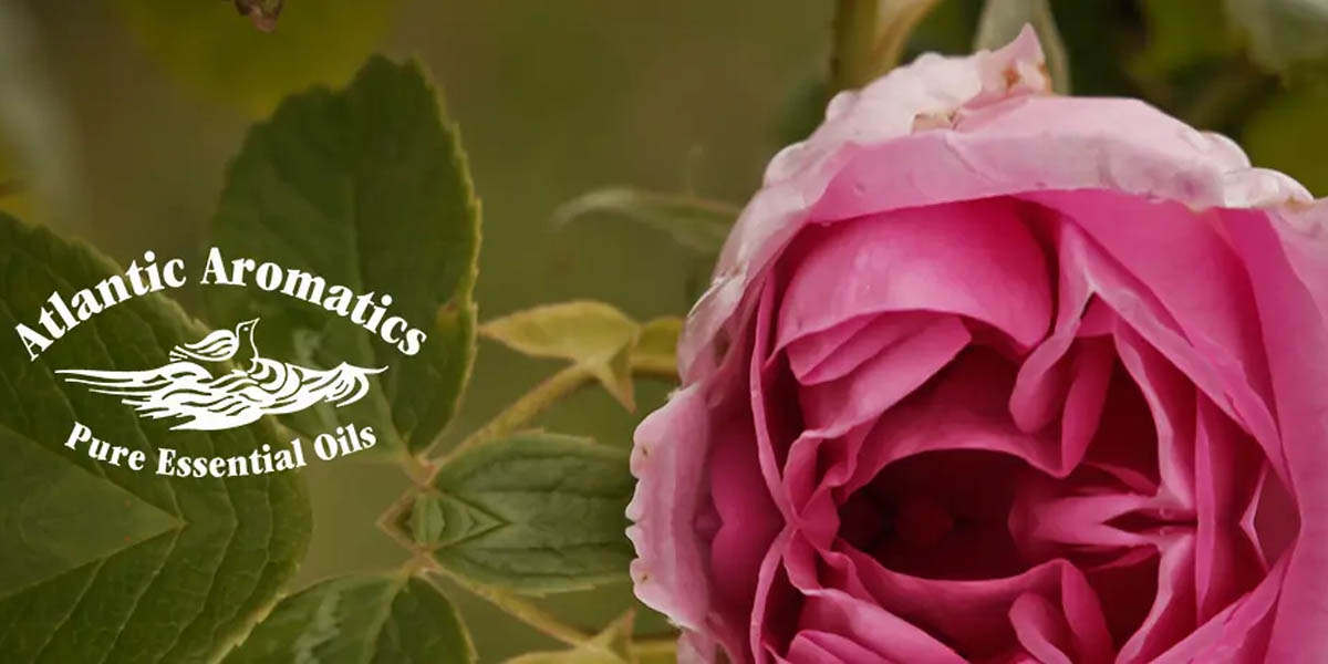 Atlantic Aromatics
