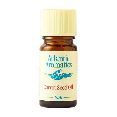 Atlantic Aromatics Carrot Seed oil 5ml