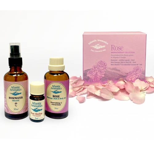 Atlantic Aromatics Rose Collection